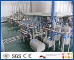 Automatic Pineapple Processing Line With Bottle Packing Machine ISO9001 / CE /
