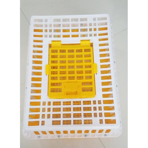 HDPE Plastic Chicken Transport Cages