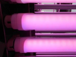 China Milky Cover Pink 900mm T8 LED Fluorescent Tube 24W For Supermarket on sale