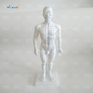 Buy cheap Medical Model Acupuncture Human Body Model for Teaching Mode product