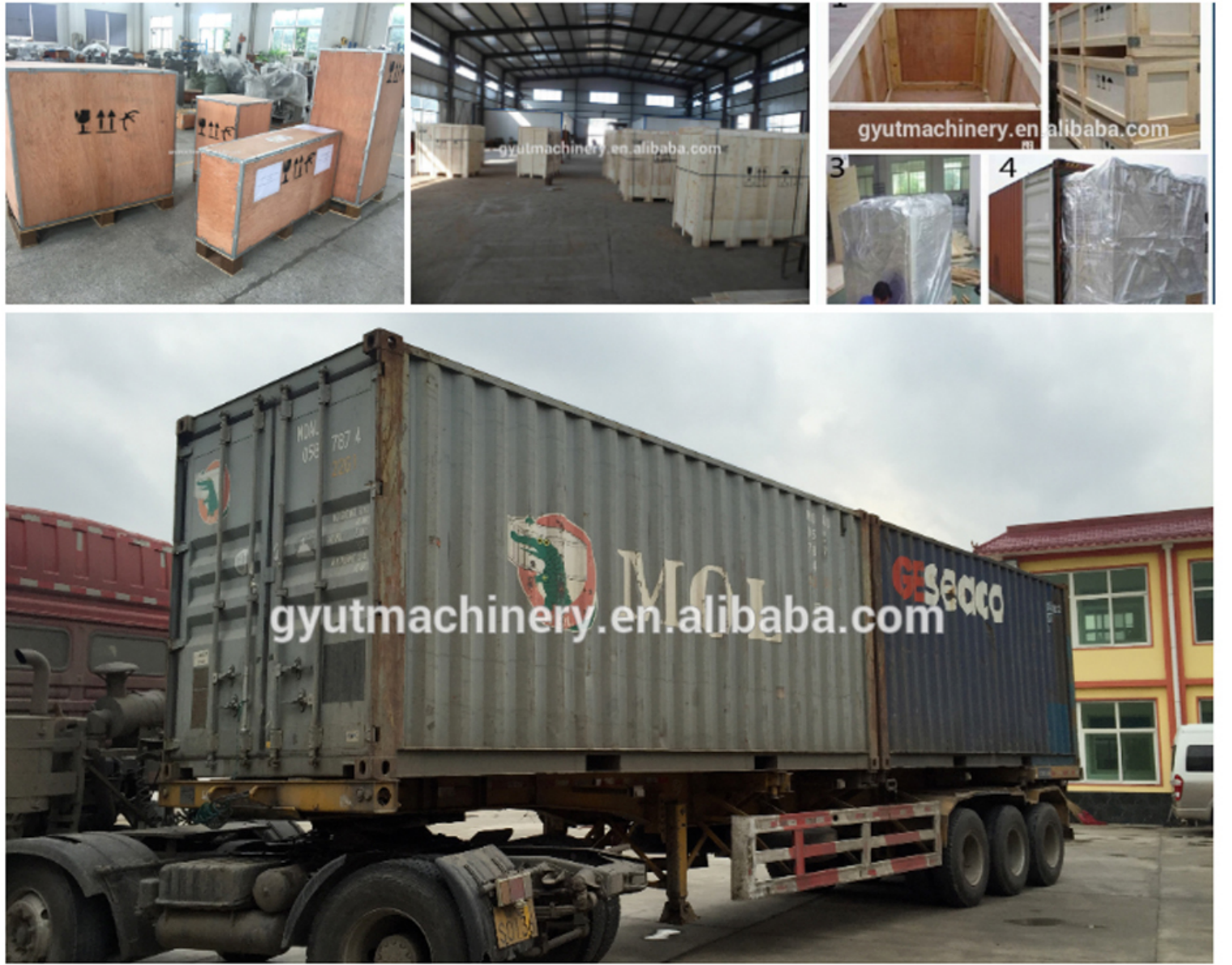 Hydroponic Hulless Barley Sprout Machines 3-4 Days Production Cycle 1.5 Tons Capacity