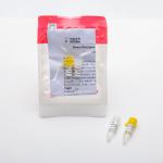 P2801-6 Direct Multiplex Probe Master Mix For Real Time PCR 1ml
