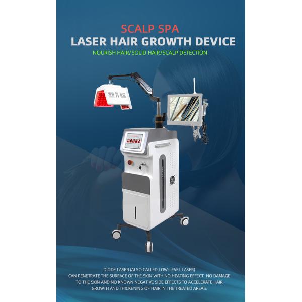 Stationary Type LED PDT Machine 5 In 1 Hair Regrowth Laser Machine Commercial