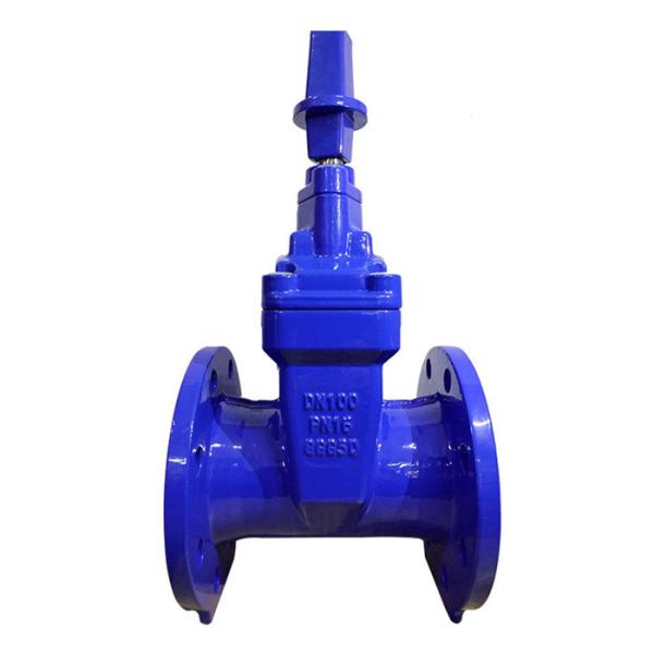 Quality BS5163 2 Inch Flanged Gate Valve Ductile Iron Gate Valve for sale