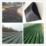 Non Toxic PP Geotextile Geobag Non Woven 200g-1400g Green Black