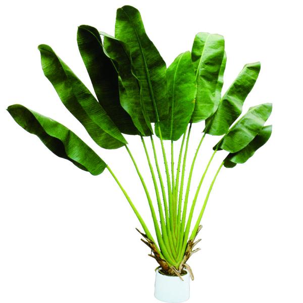 Quality Factory Price New Designs Customized Artificial Potted Traveller Palm Faux Trees BIRD OF PARADISE  Artificial Bonsai for sale