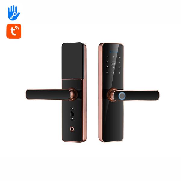 Quality Intelligent Password Fingerprint Door Lock TTlock Auto Door Locks For Home for sale