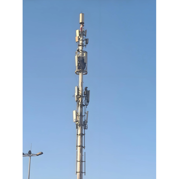 Highly Sophisticated Wireless Cell Tower 30M 35M 45M 60M 76M Height Customized Tower