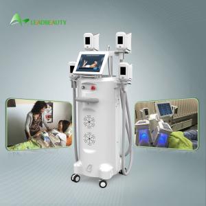 Cryolipolysis Fat Freeze Slimming Machine For Fat Reducing With 1000W Output Power