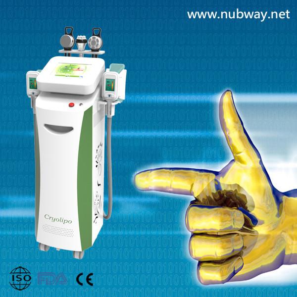 Quality Newest amazing result cellulite reduction cryolipolysis to lose weight for sale