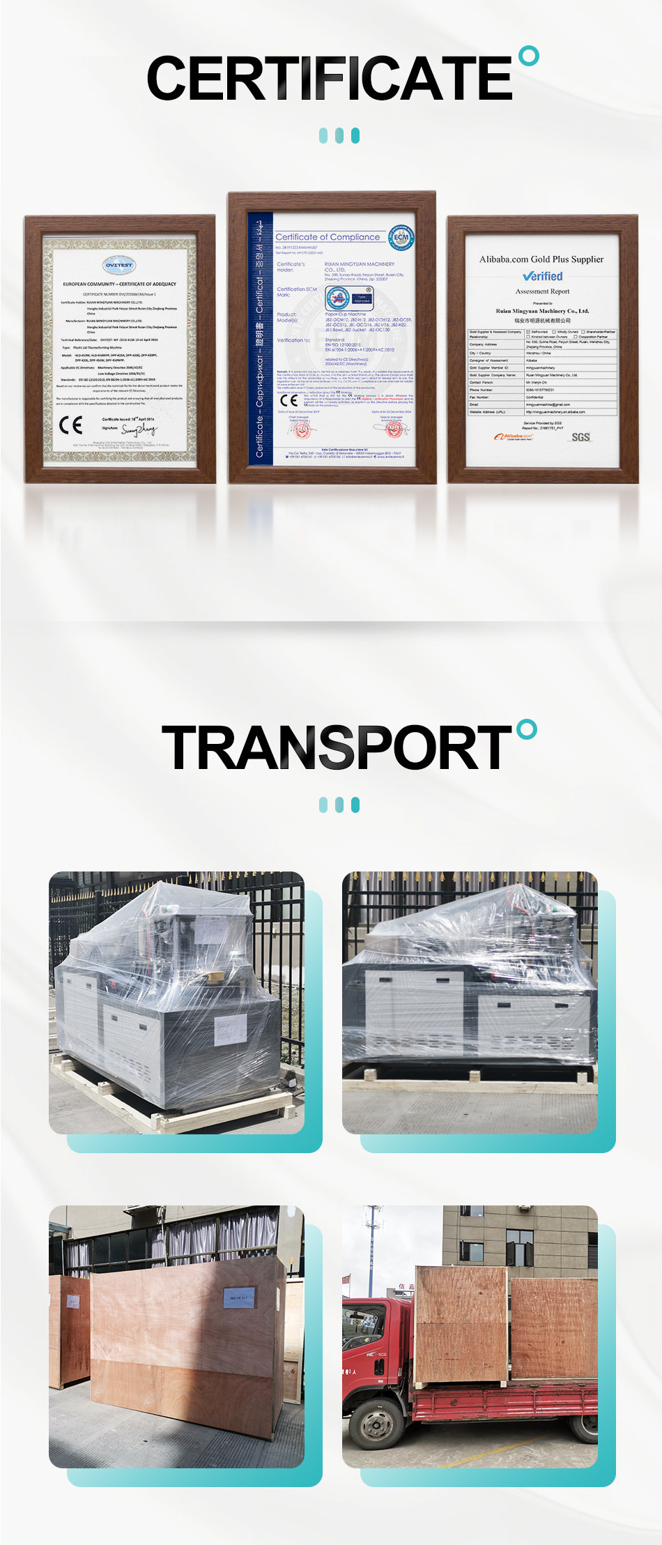 Small Paper Cup Making Machine Automatic Packing With Logo Printing