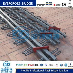 Good Quality Modular Bridge Expansion Joint With Good Price