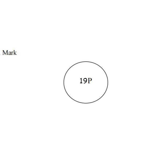 19P 19mm 100Ohm NTC PTC Thermistors Positive Temperature Coefficient Thermistor