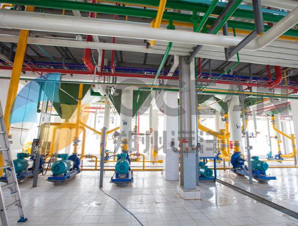 Quality 10-1000TPD Oilseed Press Plant ISO9001 Rapeseed Oil Press Energy Saving for sale