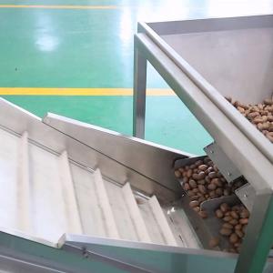 Buy cheap 380V 8 Exits Pecan Nuts Sorting Machine CE Approved 2 Tons Capacity product