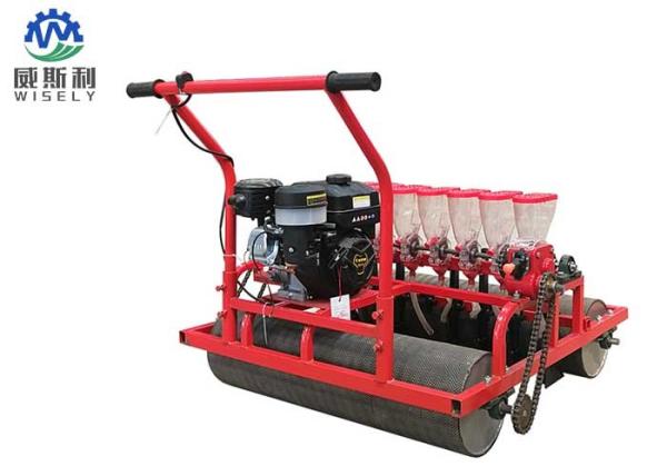 Quality Chain Agriculture Planting Machine Parsley Seeder Machine Dexterous Turning for sale