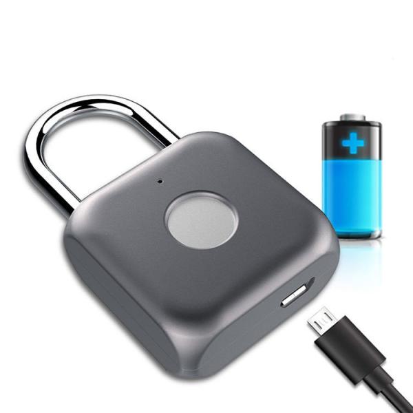 Quality IP65 Smart Outdoor Padlock Mini Keyless Outdoor Fingerprint Padlock for sale