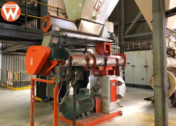 Quality Rabbit Bunny Feed Pellet Production Line With Fodder Grinder Machine 200kw for sale
