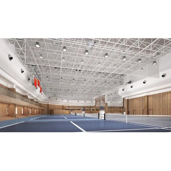 High Rise Long Span Steel Structure Gymnasium Prefabricated Customized