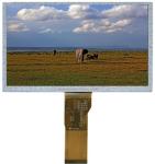IPS 16/18/24 Bit RGB LCD TFT Display 5 Inch 800*480 Wide Viewing Angle
