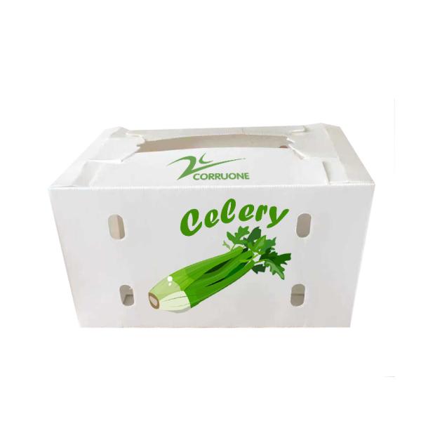 Quality New 2023 Corrugated plastic box for Fruits and vegetables low price for sale