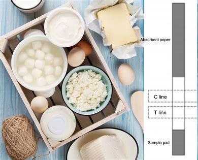 Quality Aflatoxin M1 Fresh Raw Iso Milk Test Strip Clear Easy To Interpret Visual Results for sale