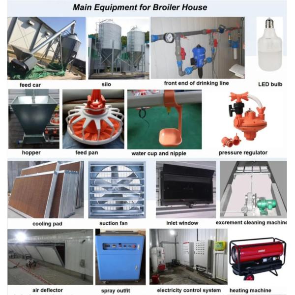 OEM Prefab Steel Warehouse