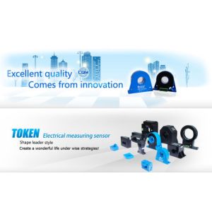 Nanjing Token Electronics Science&Technology Co., Ltd.