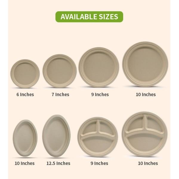 Oval Shaped Pulp Plate Disposable Sugarcane Bagasse Plates Freezer Safe
