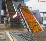 Automatic Orange Cell Making Machinery Automatic Juicer Machine