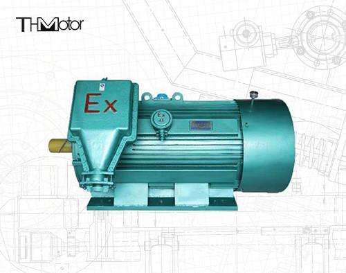 Quality 6 Poles Flame Proof Three Phase Asynchronous Motor 10000V for sale