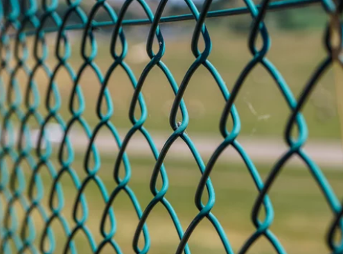 New Design Electro Galvanized Wire Mesh Anti-rust Chain Link Fence Hook Flower netting For Playground Gate