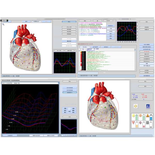 Original 9d Cell nls Full Body Health Analyzer 9d-nls With Russian/English Software