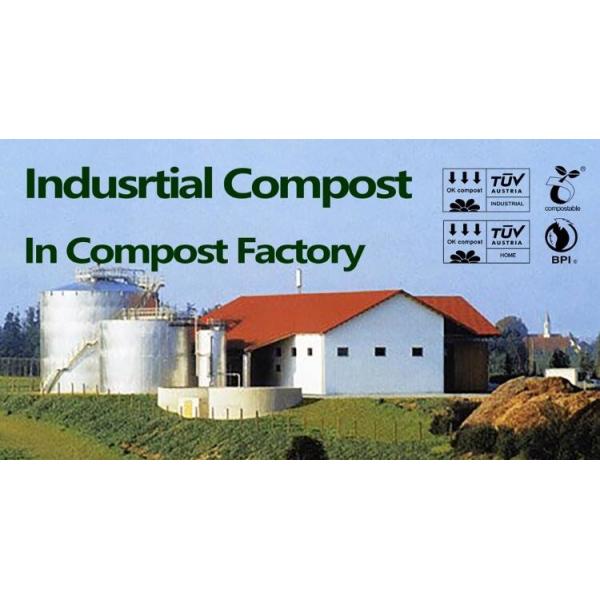 Wholesale disposable gloves, plastic gloves, biodegradable gloves, compostable gloves, bio gloves, corn starch gloves