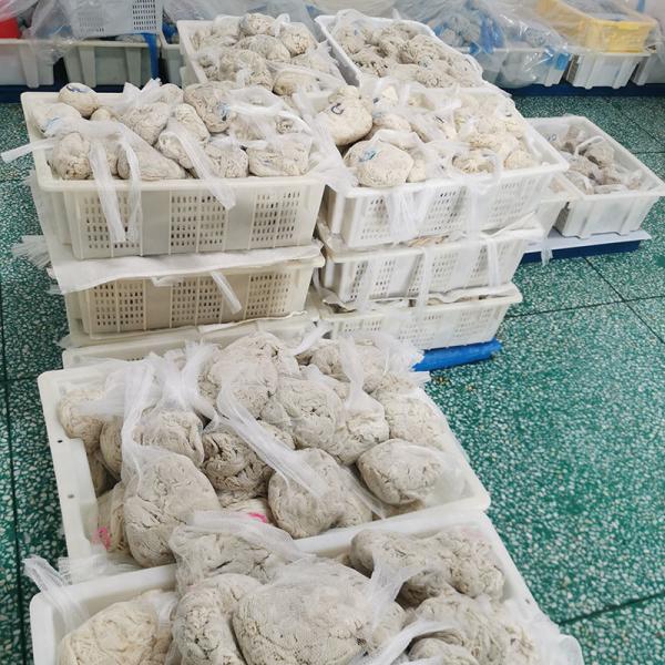 Quality Grade A Lamb Sausage Casing IOS 9001 Certified No Additive for sale