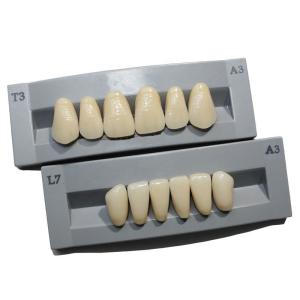 High Durability Artificial Acrylic Teeth VITA High Stain Impact Resistance Heraeus Form