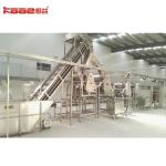 SS316 Mango Processing Line Pulp Production Line 0.5-120 Tons Per Hour