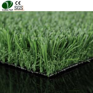 Easy Drainage Synthetic Lawn Turf Grass Roll Natural Looking 9000Ddtex