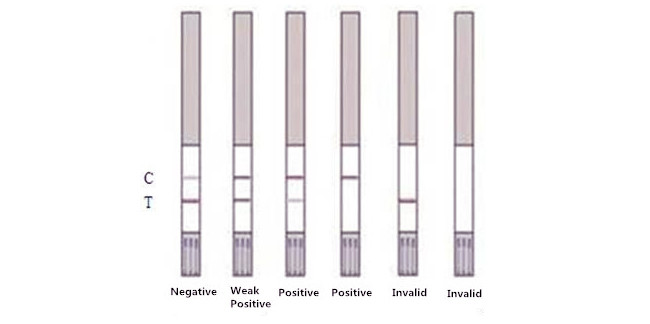 Lincomycin Rapid Milk Detection Kit 96 Tests/Kit Rapid Antibiotic Test Milk 2 ~ 3 Ppb