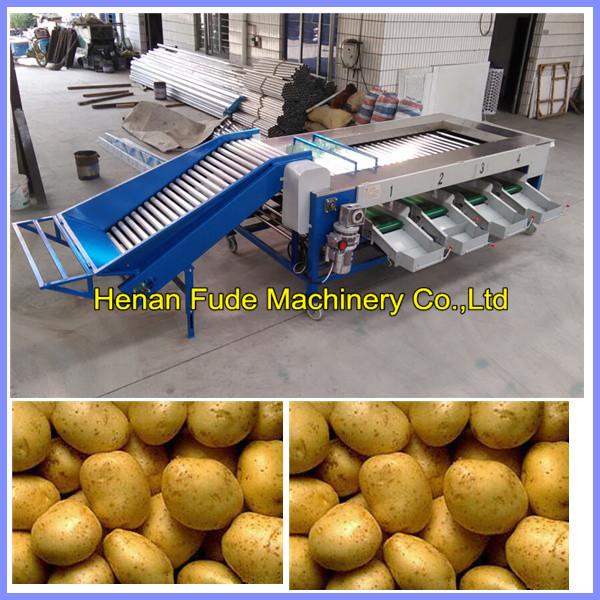 Quality potato grading machine , potato sorting machine for sale