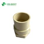 Plastic Fittings ASTM CPVC Reducing Bushing Customized Request