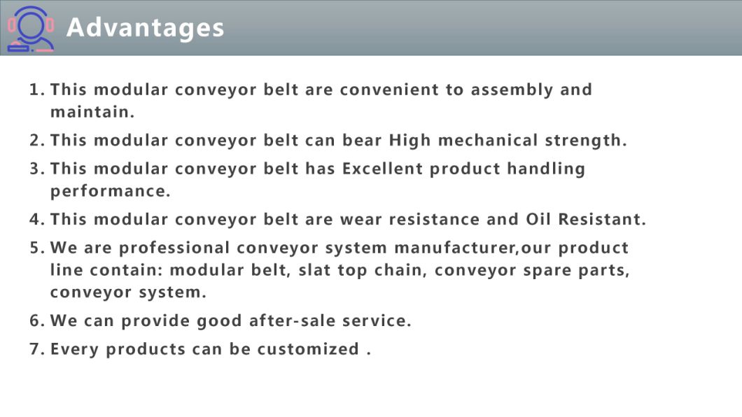CNC Linear Guide Rail Factory Roller Positrack Modular Plastic Conveyor Belt