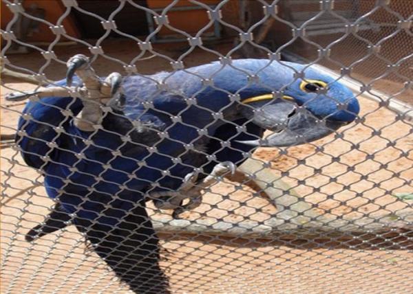 Quality Inox Flexible Stainless Steel Bird Mesh For Bird Netting / Parrot Mesh for sale