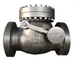 BS / DIN DI / WCB API 6D Full Open 2" ~ 24" Check Valve Swing With Counter -