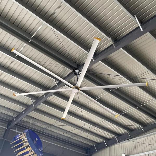 Quality Terrui Ceiling Fan Efficient Customized NORD Motor Long Life Low Noise for sale