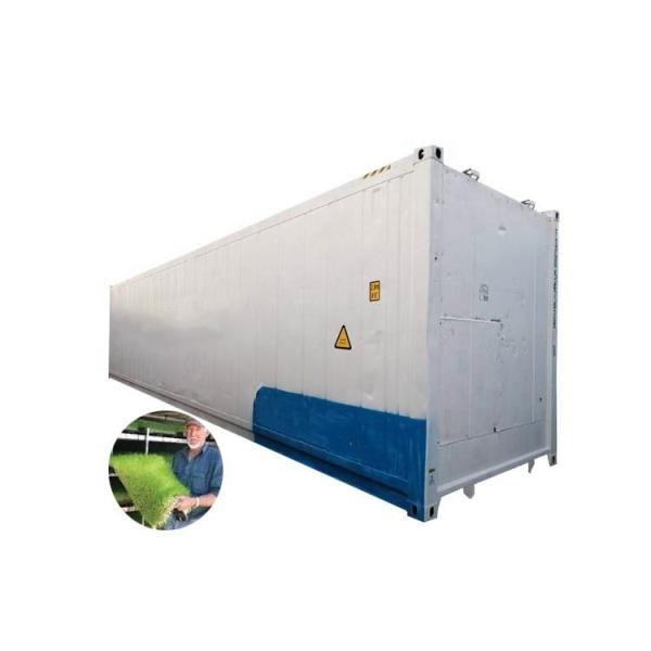 Quality Poultry Feed Hydroponic Fodder Machine Maize Corn Fodder Growing Systems for sale