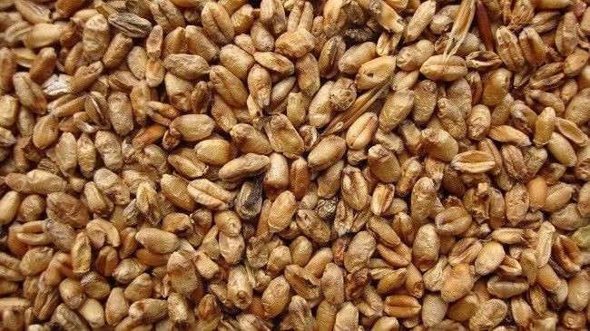 Remote Control 99.9% Accuracy Mini Peanut Sorting Machine Self Checking