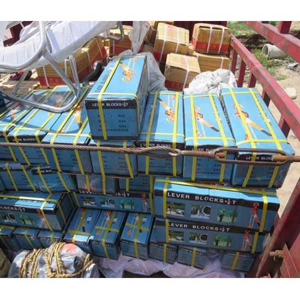 Dia 6mm G80 5 Ton 1.5m Lever Ratchet Manual Chain Hoist