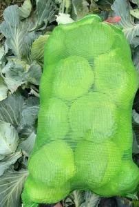 China Green PP Mesh Netting Bags For Corn Plastic Drawstring Packing Cabbage on sale