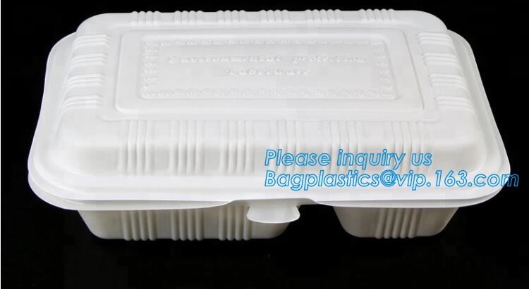 Blister large clear plastic fruit container with lid for fruit packaging,blister fruit box /container/ fruit Tray/ Clear